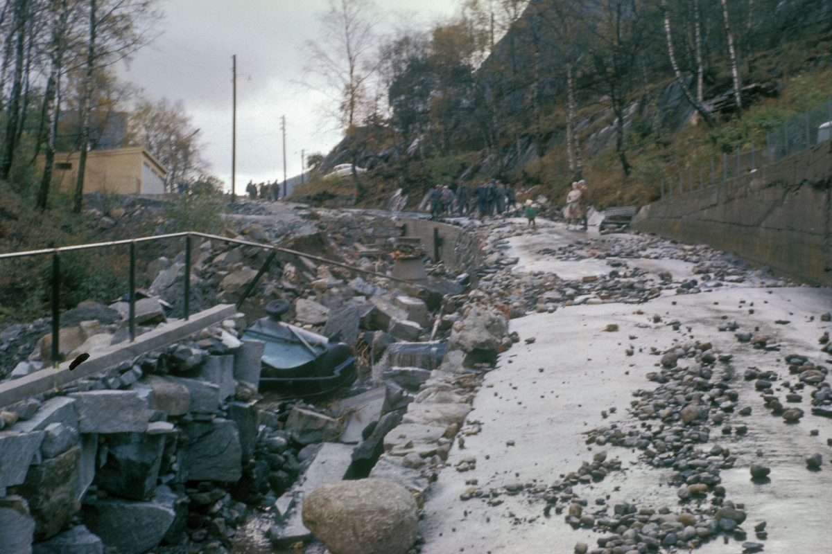 Flaumskader i Tjoadalen i 1962