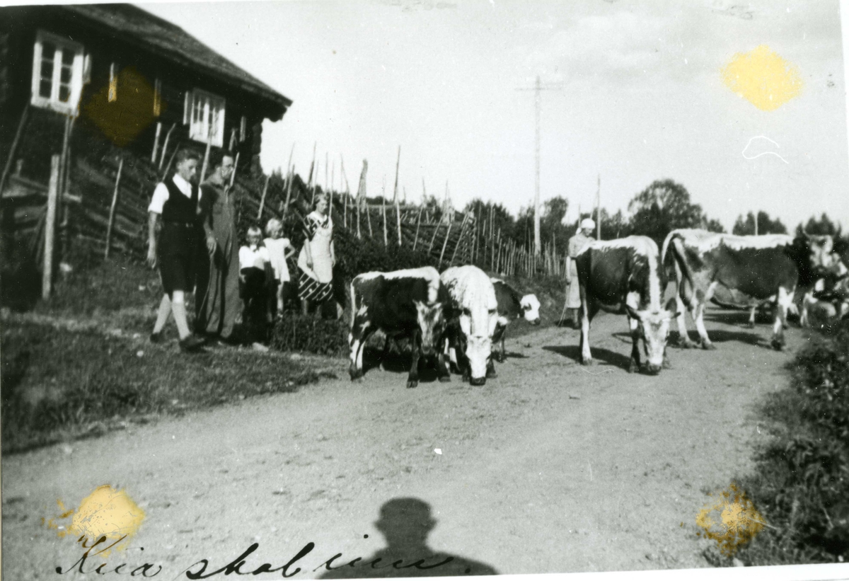 Gaukerud, Vest Torpa