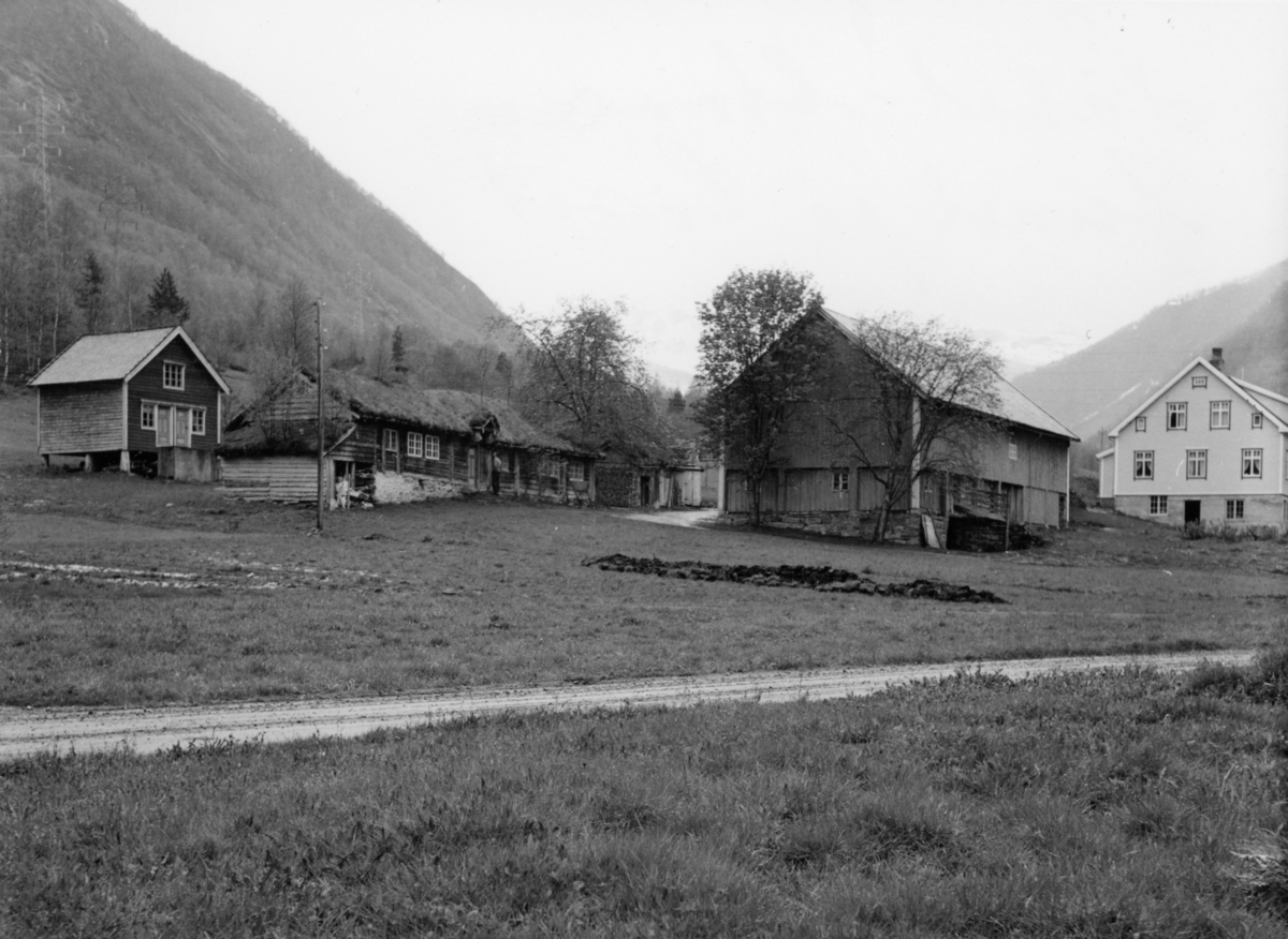 Dokumentasjonsbilder i serie av et stovehus i Øvstegara på Løset i Stordal. Denne stova er senere flyttet til tunet ved gamlekirka i Stordal.