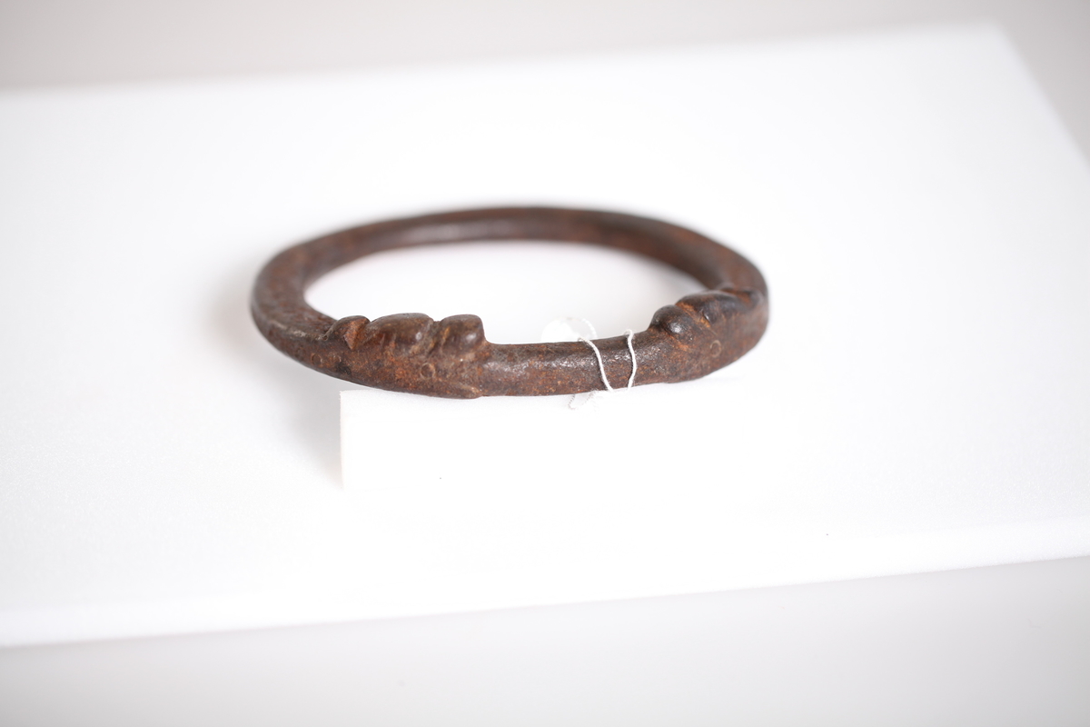 Oval, glatt smidd ring. To dyrehoder (ormehoder) vender mot hverandre og i munnen holder de ringen. Innslåtte ringer rundt på dørringen.