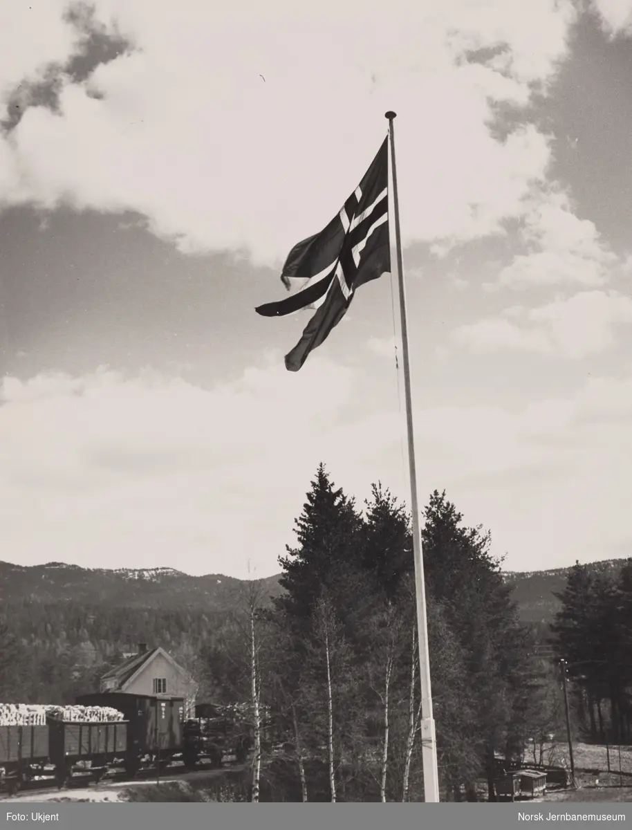 Godstog ved Rollag stasjon. Bildet er merket "Fredstog" og antas å være fra 8. mai 1945