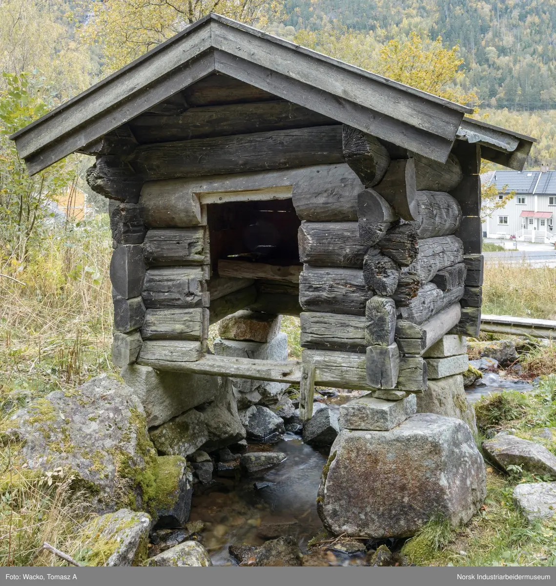 Kvenn