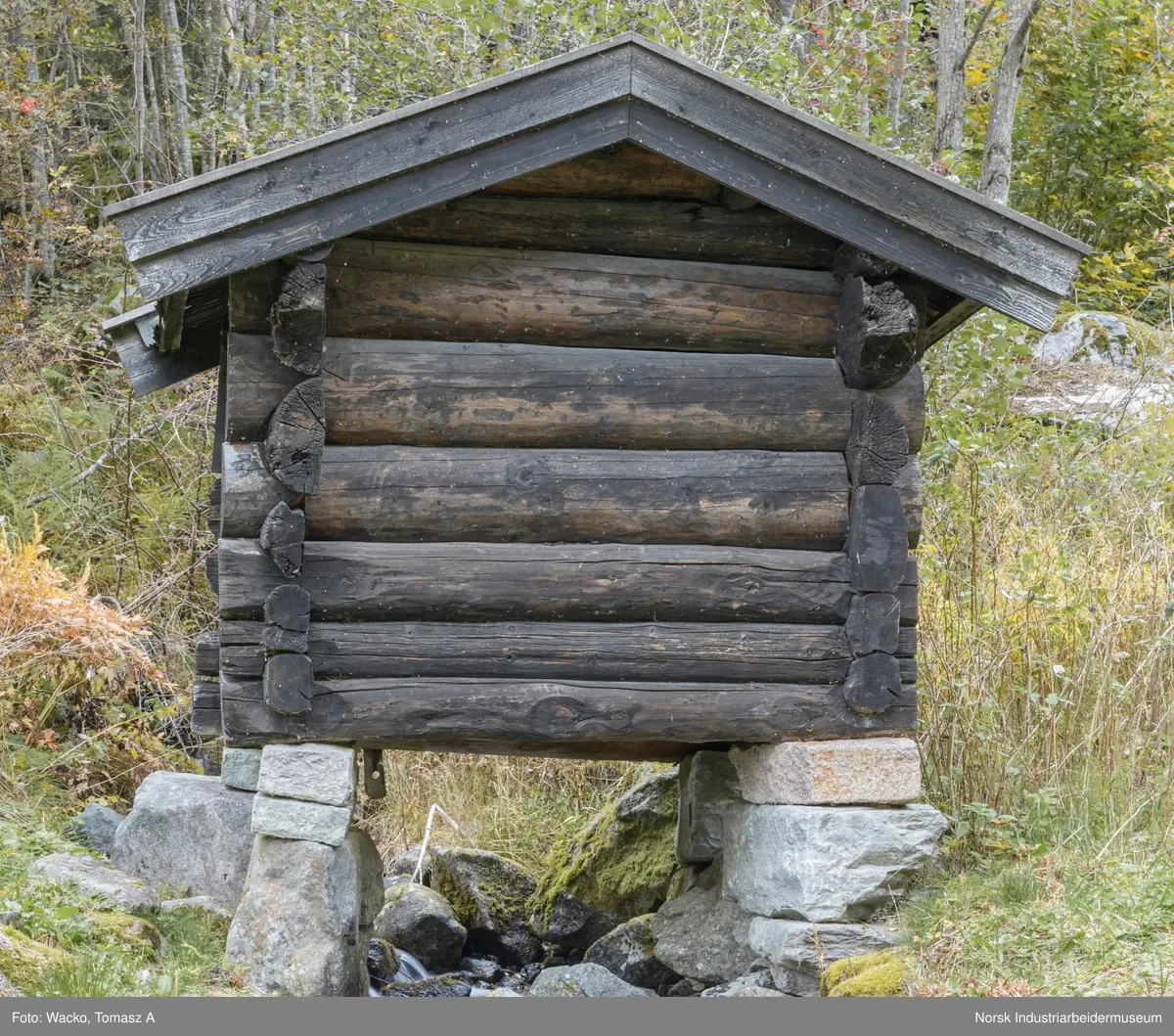 Kvenn