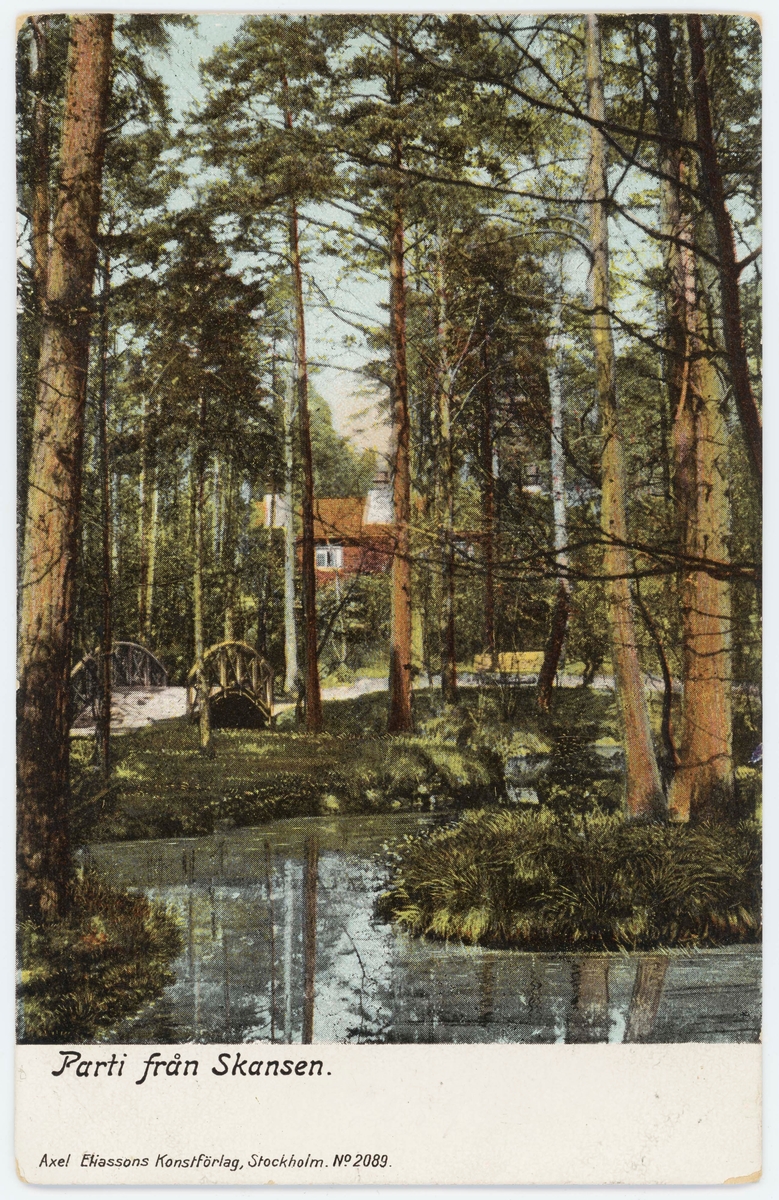 Vykort med motiv från Skansen. "Parti från Skansen"
