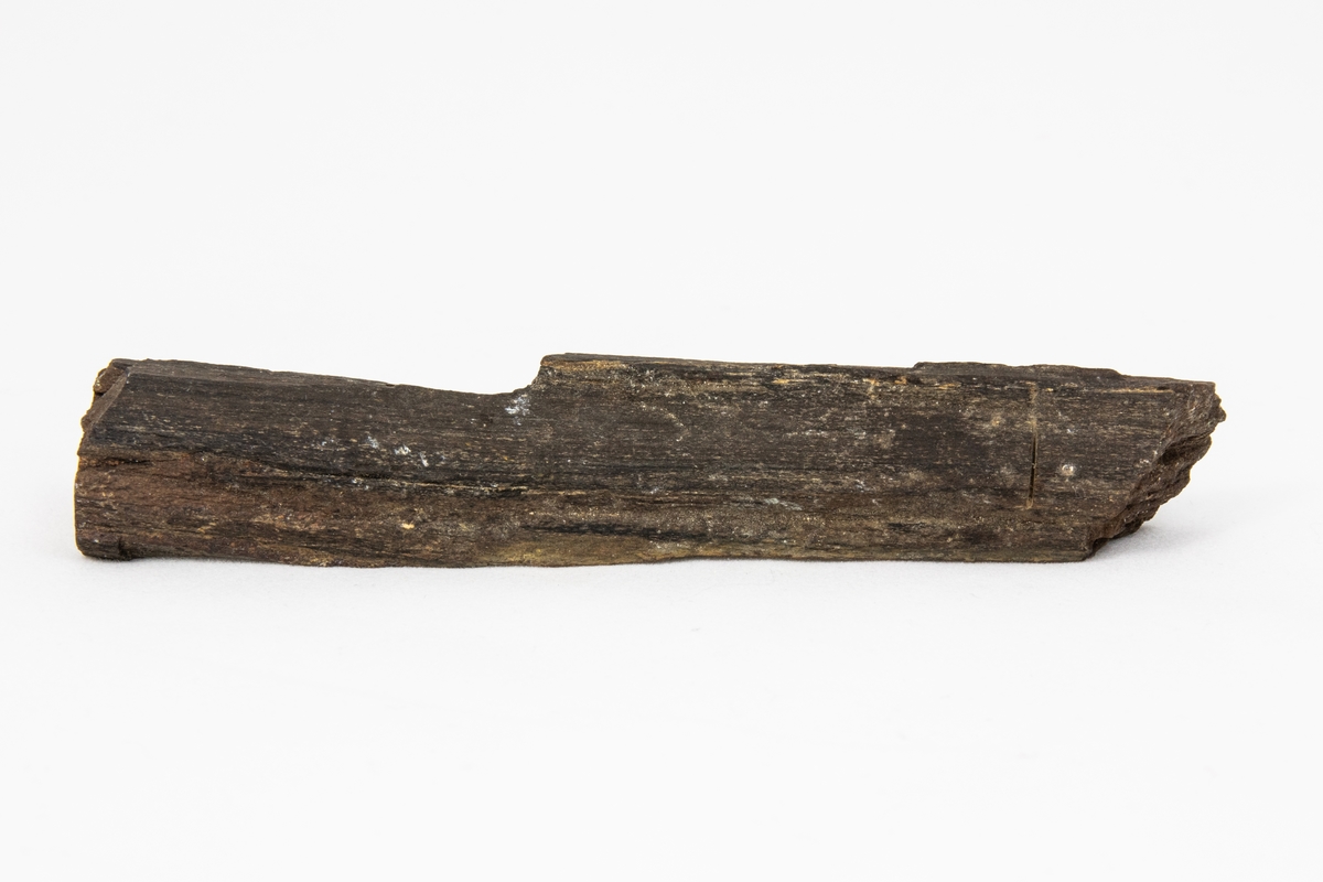 Fossilt trä kallas även för förkislat trä. Fossilt trä bildas då ett dött träds beståndsdelar utbyts ut genom cirkulerande vatten som medför sediment. Detta exemplar är en liten del av ett stort träd med en stor diameter. Stycket är suttit i ytterkanten vid barken. Exemplaret har okänt ursprung men ingår i Adolf Andersohns samling.

Bergart/Fossil/Mineral: palygorskit
Varietet: 
Klassificering: 
Paragenes: 

Land: 
Fyndplats: 

Stuffen ingår i samlingen från