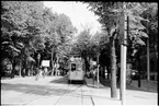 Vid hållplats på Trädgårdsgatan står Aktiebolaget Stockholms Spårvägar, SS A1 64 med chaufför lutandes ur hyttfönstret.