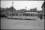 Vid hållplats utanför entrén till Karlsruhe zoo står Stadt Karlsruhe spårvagn 121, linje 7.