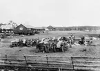 Upplandsmanövern 1916. Materielvård den 6 oktober vid Skogby IV. Fälttelegrafavdelningens stabsektion och fyra halvsektioner. Rahmström ?. Crafoord