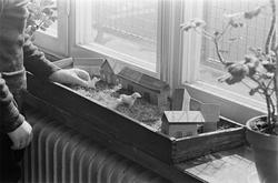 Motiv: H.S.B.s hus i kvarteret "Marmorn" på Skinnarviksberge