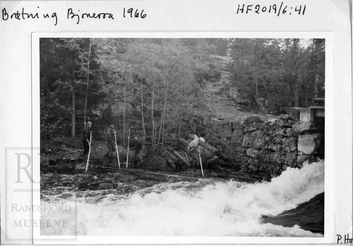 Fløtning i Bjoneelva i Bjonvassdraget. Fra Draget, via Østre Bjonevatnet, Bjonvassdammen, Østre Bjonelva, Haugtjern, Stilla og til Randsfjorden