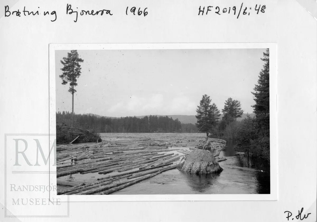 Fløtning i Bjoneelva i Bjonvassdraget. Fra Draget, via Østre Bjonevatnet, Bjonvassdammen, Østre Bjonelva, Haugtjern, Stilla og til Randsfjorden