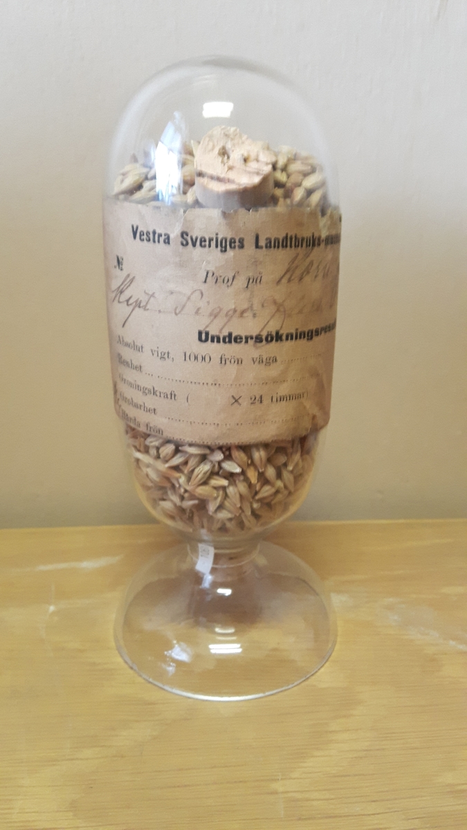 Glasbehållare innehållande fröer av Korn (Hordeum). På etiketten står Korn från Prinshaga, Kapt Sigge Flack.

Ingår i en frösamling under namn: ''Westra Sveriges Lantbruksmuseum''. Bildat 1880 efter lantbruksmötet i Borås. Samlingen, vilken består av glasbehållare innehållande frön från svenska kulturväxter och träd, uppställdes först på länsresidenset i Vänersborg.

Samlingen kom att bli en av Vänersborgs museums 4 grundsamlingar och uppställdes i museets övre våning vid museets öppnande 1891.

Troligen är glasbehållaren tillverkad vid Reijmyre glasbruk, ligger i Rejmyre, norr om Norrköping.