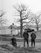 Bröderna Sigurd, Arne och Uno Hallin framför torpet Middagsfisket i Sankt Anna socken. Barn till Karl Johan Hallin och fotograf Durlings syster, Hedvig Maria Bertha Durling.