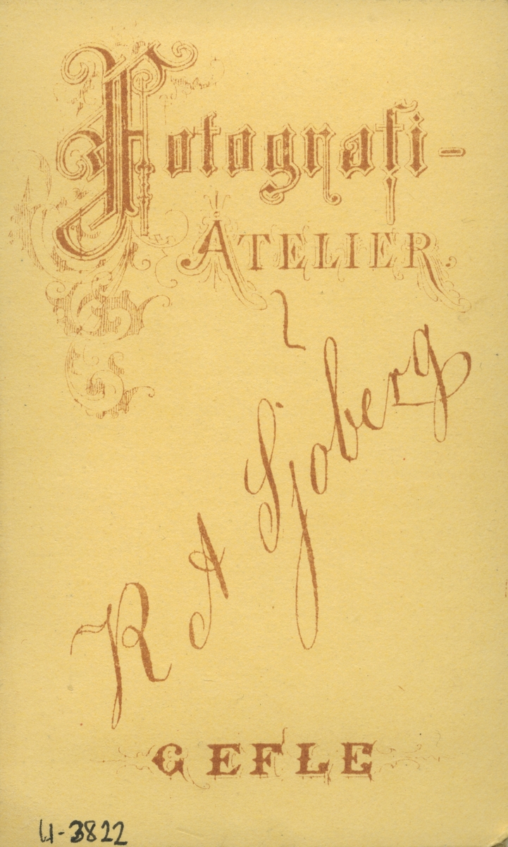 Kvinnoporträtt. Mor Swedlund.