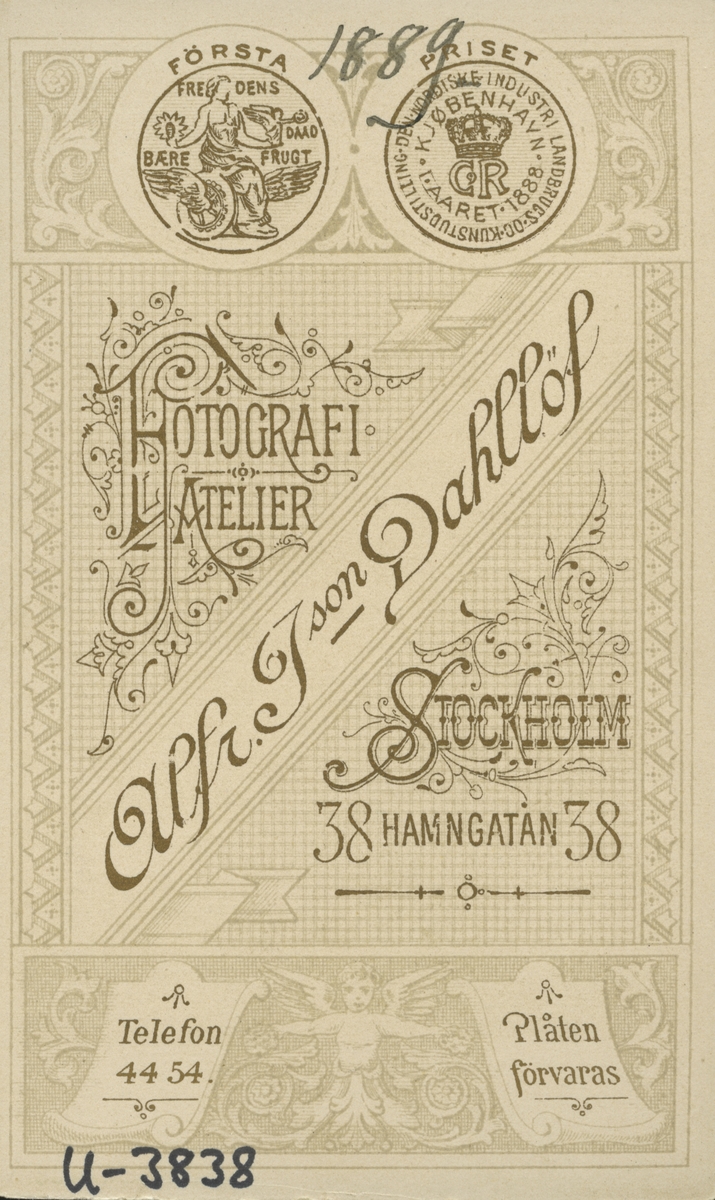 Mansporträtt, 1889. Gustaf Swedlund.