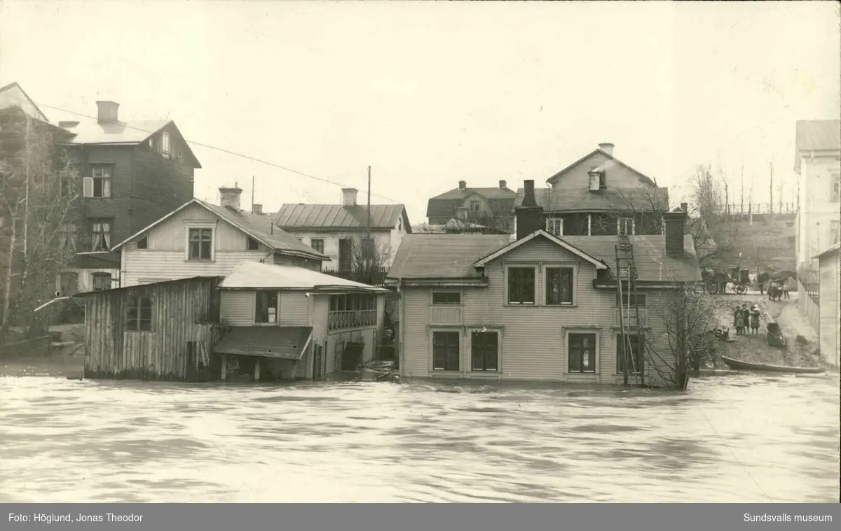 Vykort med motiv av vattennivån i Selångersån vid översvämningarna 1919.