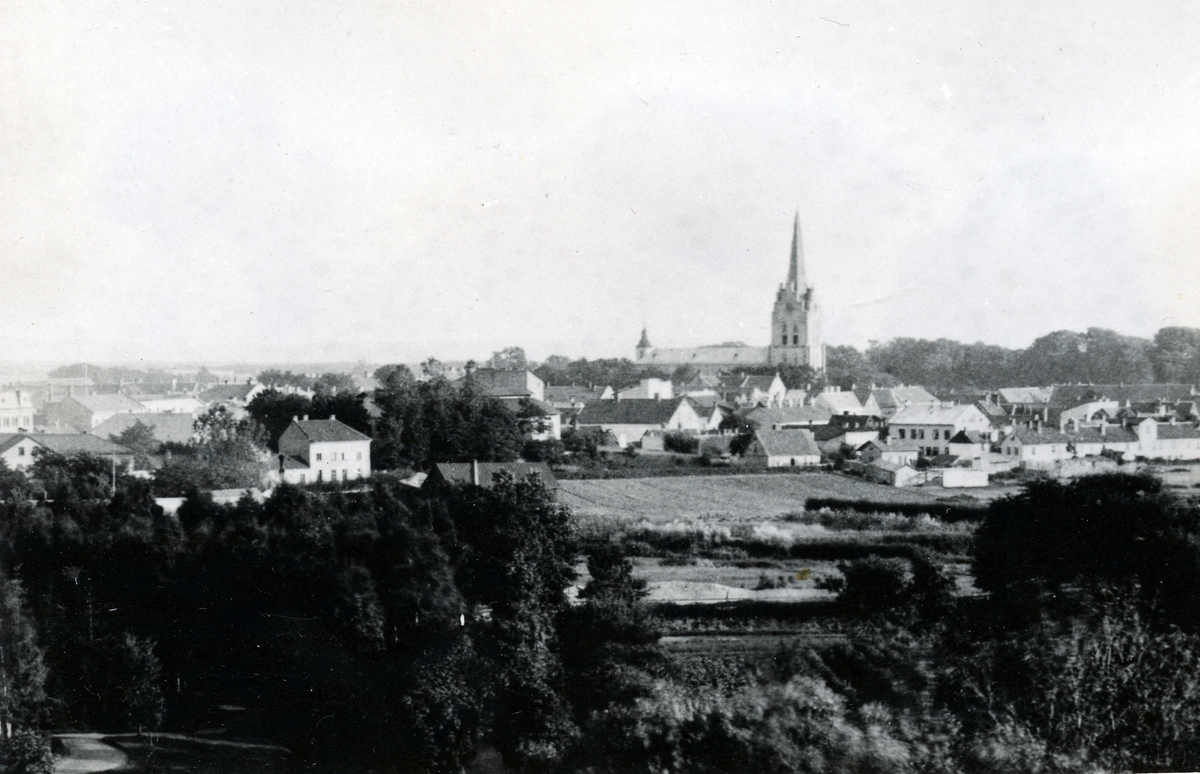 Halmstad på 1890-talet.
Vy taget från torntrapporna på Galgberget.