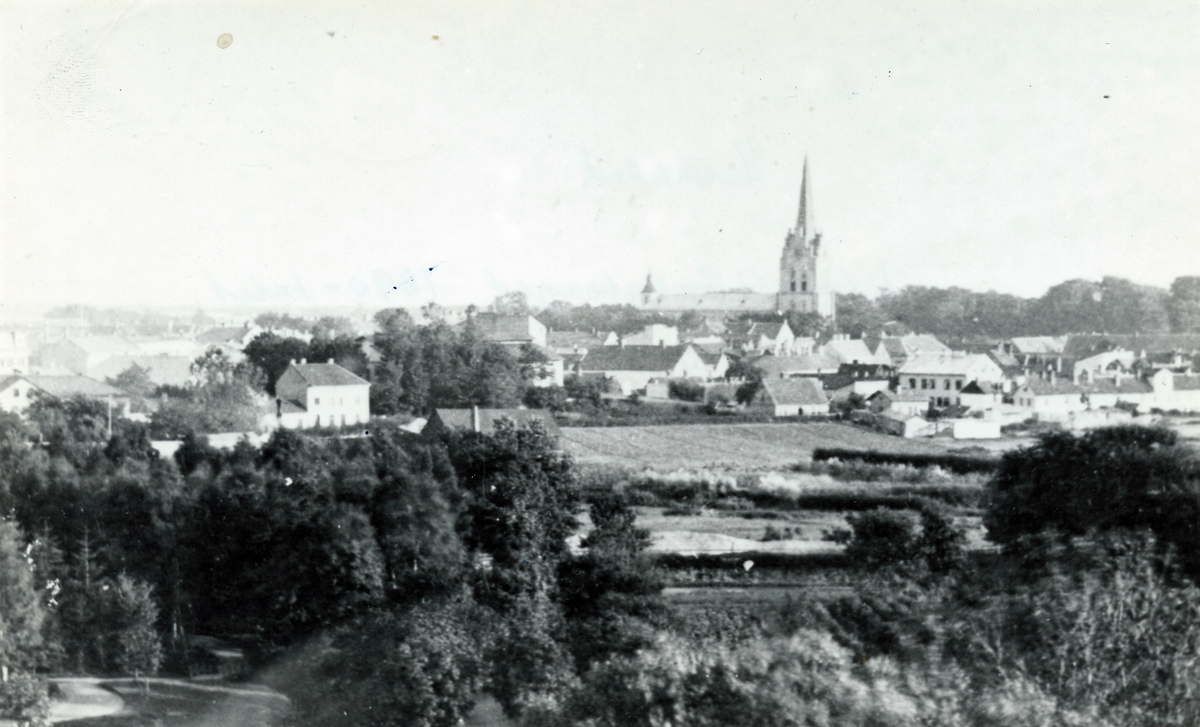 Halmstad på 1890-talet.
Vy taget från torntrapporna på Galgberget.