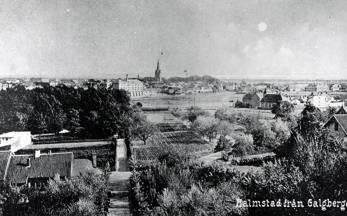 Vy av Halmstad taget från Galgberget i slutet av 1890-talet.