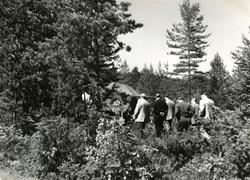 Kongsberg Våpenfabrikk fotografier