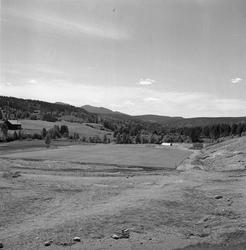 Hjelp oss med KV-fotografier!