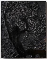 Vaarnatt og seljekall [Trykkplate]