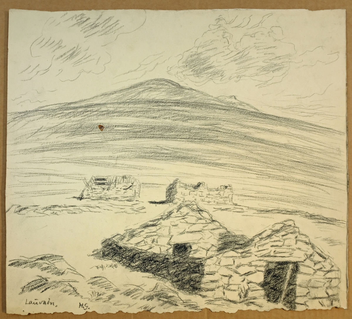 Lauvadn [Tegning]