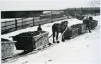 Norberg sn, Norberg.
Kolkörning i Norbergstrakten. 1920-talet.