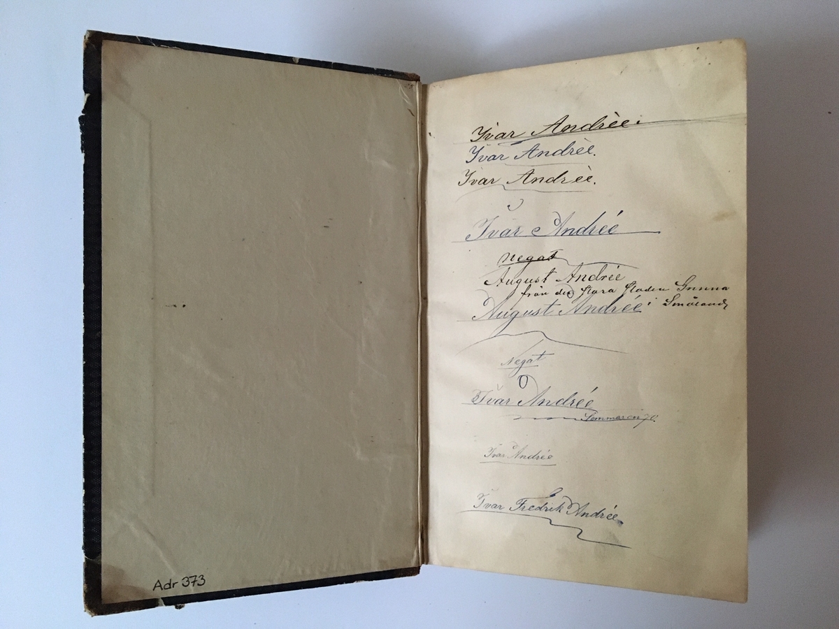 Liten bok på 201 sidor. Ryggtitel: "Flora". Titelsidan: "Svensk och Norsk Excursions-Flora. Phanerogamer och Ormbunkar." Tredje upplagan. Förordssidan har en stämpel "I.F.A.  1870", sannolikt avseende Ivar Fredik Andrée.

Understrykningar på flera ställen samt pressade blad (av ormbunke?) på uppslag 162-163 samt180-181.