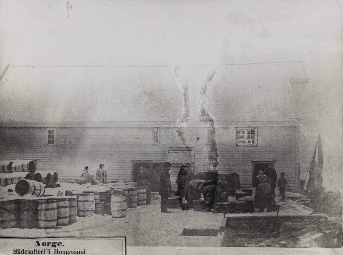 Smedasundet sett mot øst, ca. 1862.