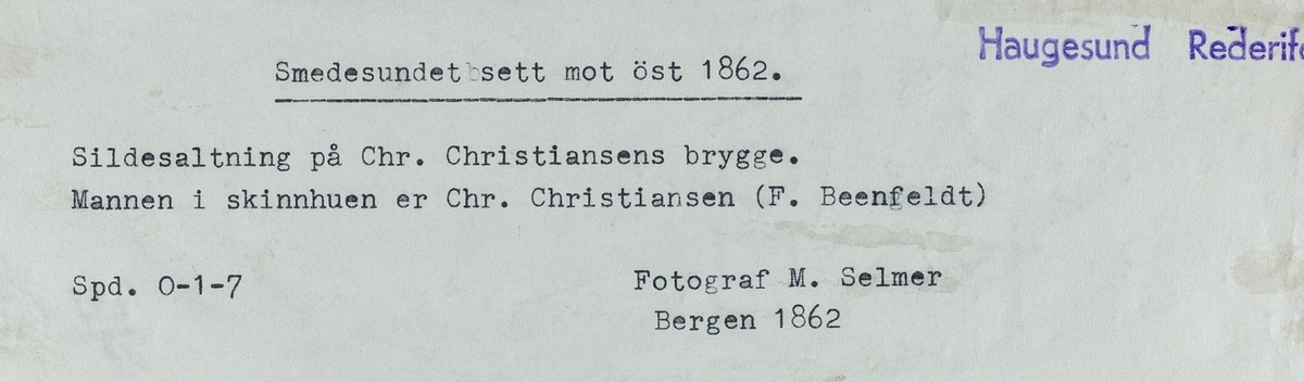 Smedasundet sett mot øst, ca. 1862.