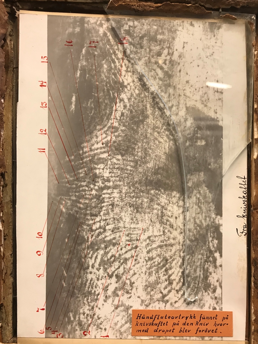 En montasje laget av bevismateriale; en knust vindusrute, et skjerf , en tollekniv der bladet er løsnet fra skaftet, to håndflateavtrykk og tre foto. Deler av montasjen er gjenbruk av et maleri.