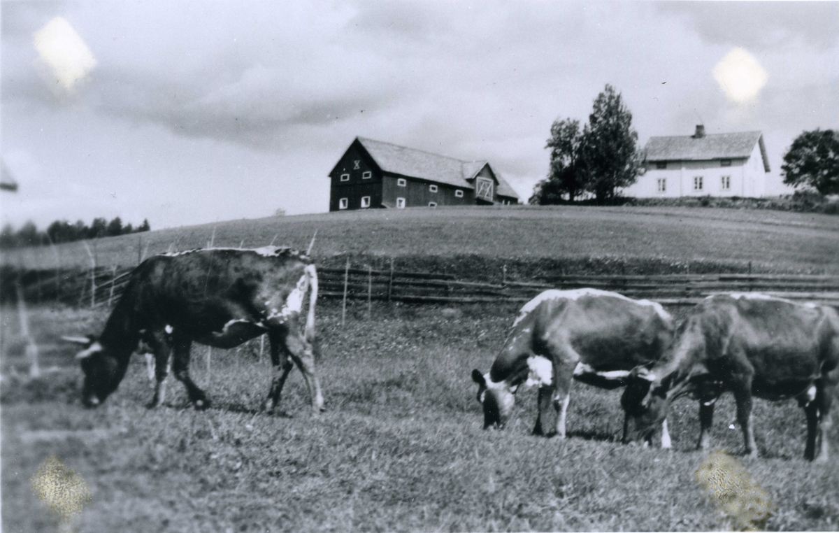 Midthaugen, Vest-Torpa