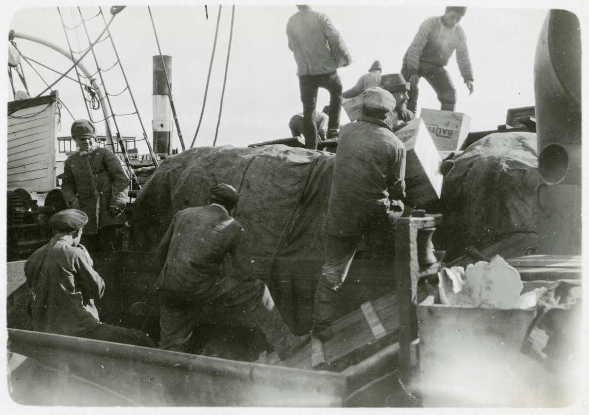 Lasten på Halvar lossas i Obviken år 1919 av ryssar samt tyska och österrikiska krigsfångar.