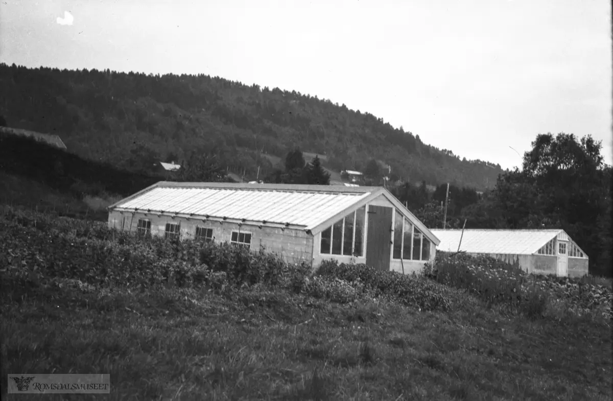 Solbakken gartneri.