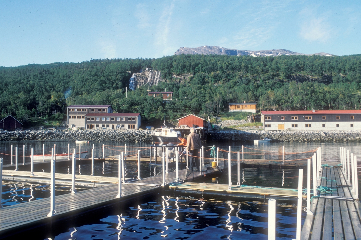 Forsheim : Dette er forskningsstasjonen Forsheim i Skjomen utenfor Narvik.
