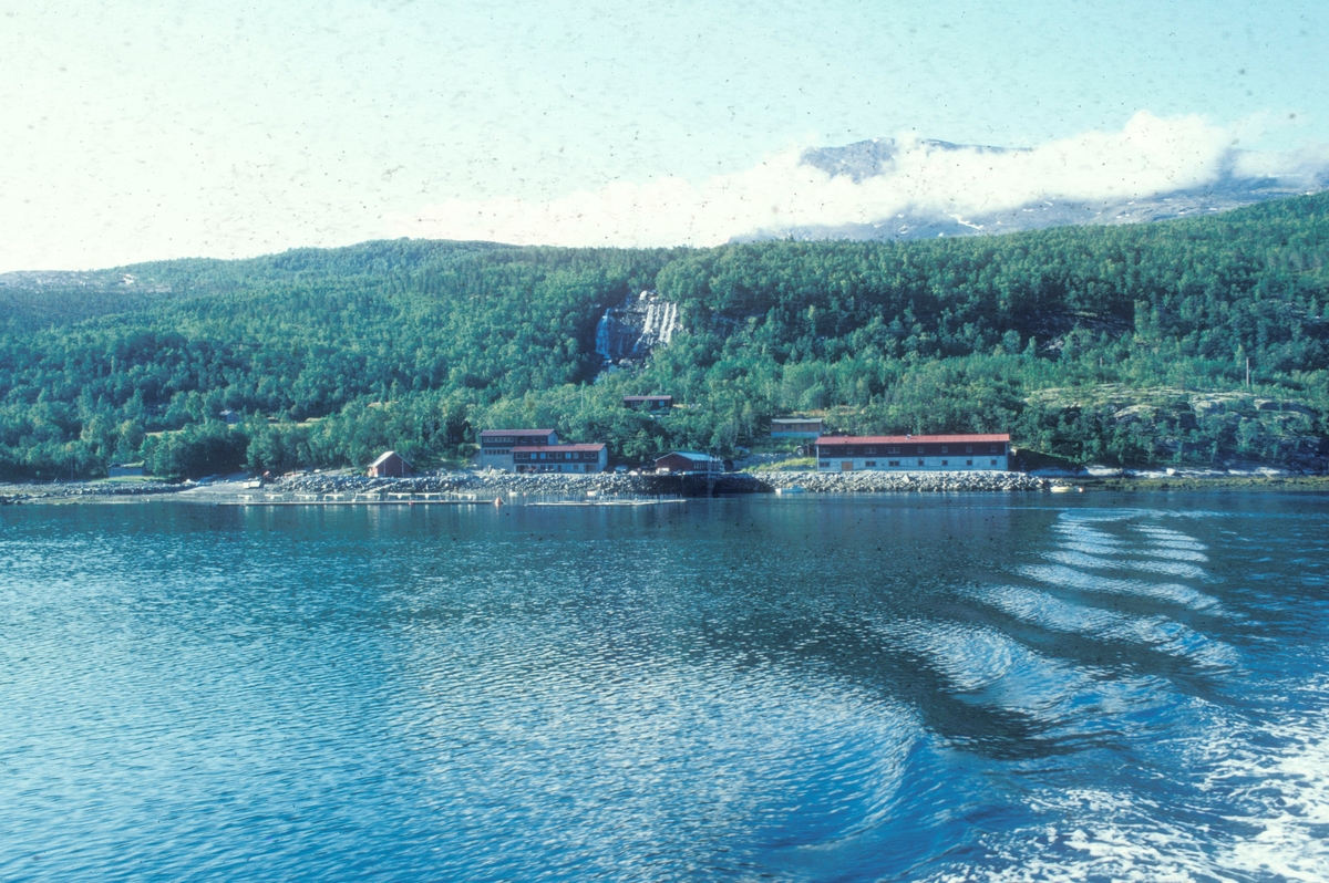 Narvik/Forsheim : Forsheim Forskningsstasjon og NVE's smoltanlegg. I sjøen utenfor bygningene ligger merder med fisk.