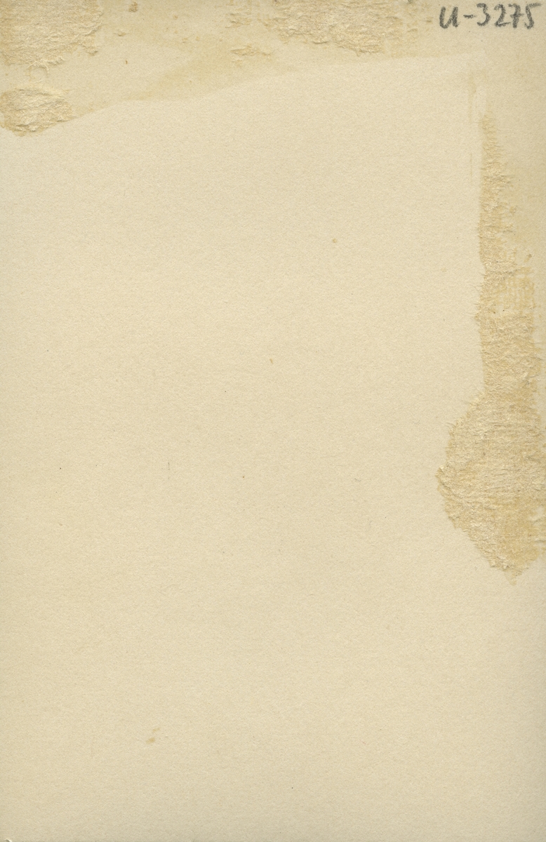Fru Sigrid Wännerdahl f. Nyberg.