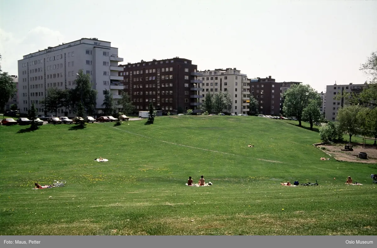 park, mennesker, solbad, lekeplass, boligblokker, parkeringsplass, biler