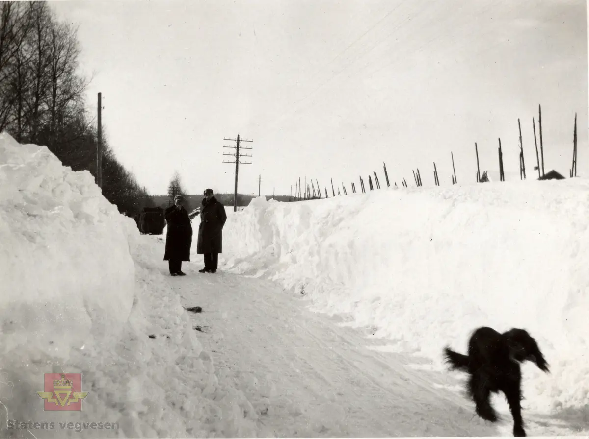 Store snømengder og høye brøytekanter måles i Hedmark vinteren 1930-1931. 
Bilde 2) Helside i album "Snebrøyting og sneskjermer." 
Bilde 3) Håndskrevet tekst på baksiden av bildet. (Stedsbeskrivelse litt vanskelig å lese) 

Se vedlegg i Nedlastinger lenger ned på siden.
Ref. til "Meddelelser fra Veidirektøren Nr. 10- og Nr. 11-1931: "Snerydningen på våre veier vinteren 1930-1931." 
Ref. til "Meddelelser fra Veidirektøren", Nr. 3-1930,  "Snebrøytingsforsøk med 6-hjulere," av overingeniør N. Saxegaard.
