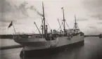 Lastmotorfartyget SELANDIA av Köpenhamn i Åhus hamn den 6 juli 1920.