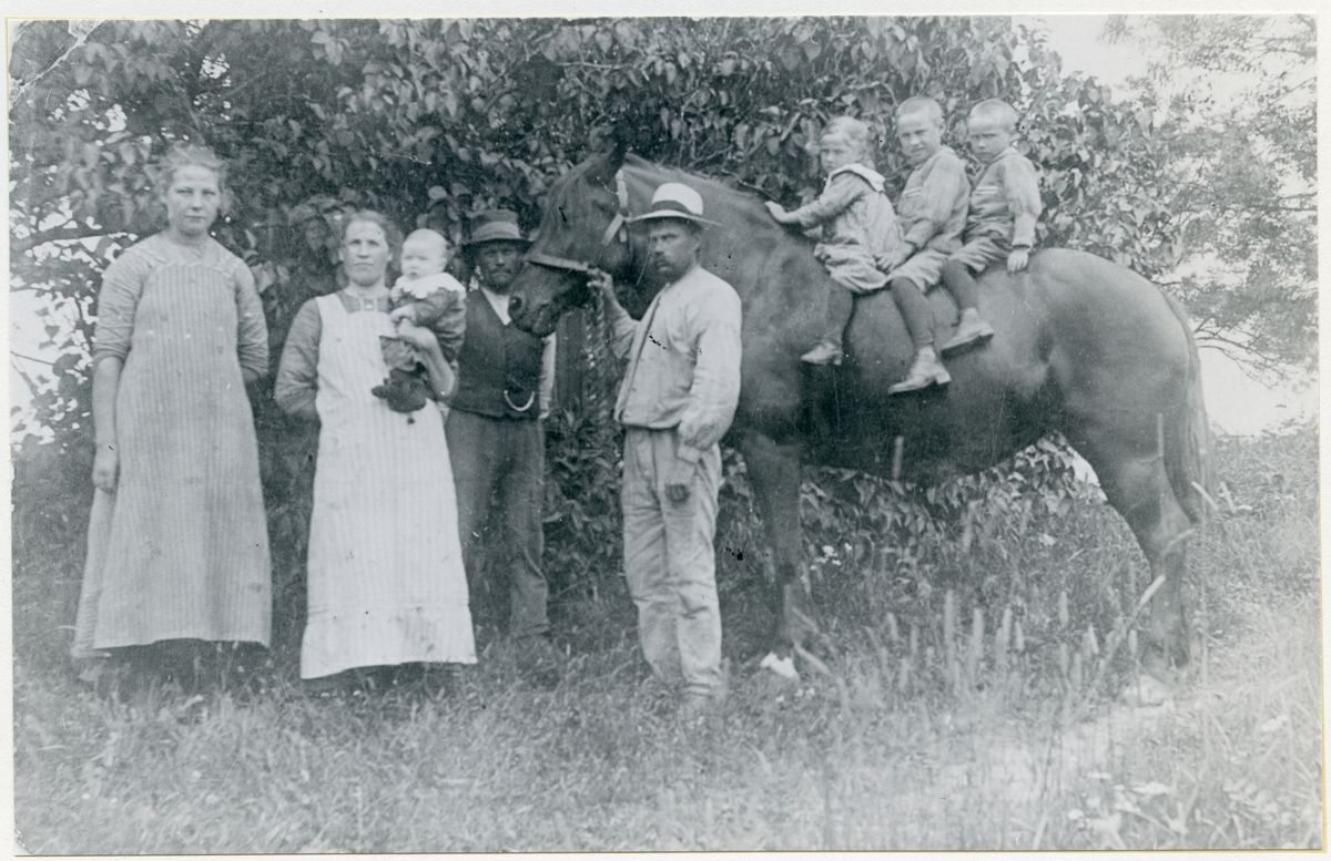 Odensvi sn, Köping, Sörslyta.
Porträtt taget vid höbärgning, 1916.