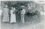 Odensvi sn, Köping, Sörslyta.
Porträtt taget vid höbärgning, 1916.