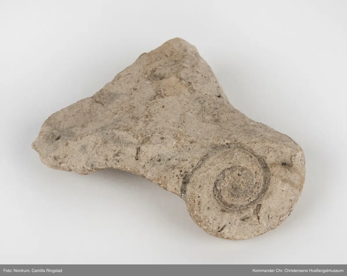 Fossil