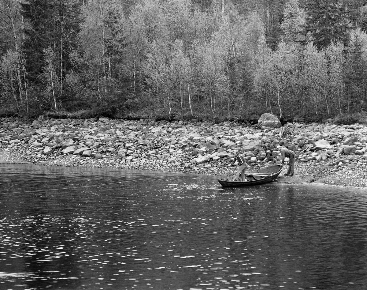 Fortøying av bom i Valmen, Osensjøen, Nordre Osen, Åmot kommune, Hedmark. Mai 1984. Bildet er tatt fra slepebåten Trysilknut. To av mannskapet og robåt ved land. Tømmerbom.