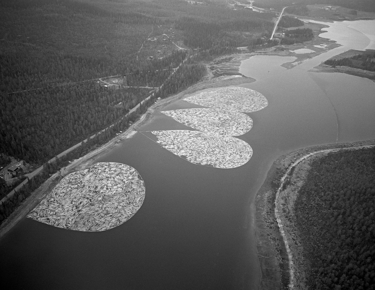 Fortøyde tømmerbommer ved land i Valmen, ei vik i den nordvestre enden av Osensjøen, der sjøen har avløp til elva Søndre Osa. Nordre Osen, Åmot kommune, Hedmark. Fotografiet er tatt fra fly. Vei langs vannet.