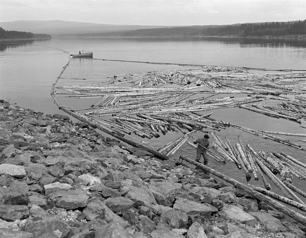 Påstikkingsarbeid ved tømmerløpet i Løpsjødammen i elva Søndre Rena, fem-seks kilometer øst for kommunesenteret i Åmot i Østerdalen. Vi ser en mann som arbeidet med hake i strandsona langs den vestre damarmen. I bakgrunnen skimter vi en varpebåt ved ei lense som antakelig ble brukt under «sluttrensken». På dette stedet fikk Hamar, Vang og Furnes kommunale kraftselskap i 1969-70 bygd en 19 meter høy demning på tvers av dalføret elva gikk i, noe som skapte en innsjø med et cirka halvannen kvadratkilometer stort vannspeil. Denne oppstuvinga av vann fra ovenforliggende vassdrag skulle skape driftsgrunnlag for et elvekraftverk med en gjennomsnittlig årlig produksjonskapasitet på 118 millioner kilowattimer (kWh). Dammen ble et hinder for Glomma fellesfløtingsforening, og regulanten måtte forplikte seg til å betale for de ekstrakostnadene det innebar å få fløtingsvirket vel gjennom tømmerløpet. 

Fløtere. Varpebåt i bakgrunnen. Renaelva.