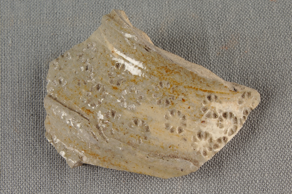 Fragment av drejat lerkärl.
Försett med en stjärnformad och instämplad dekor.