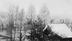 Familien Munchs hjem på Nordstrandshøgda.