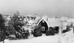 Familien Munchs hjem på Nordstrandshøgda.